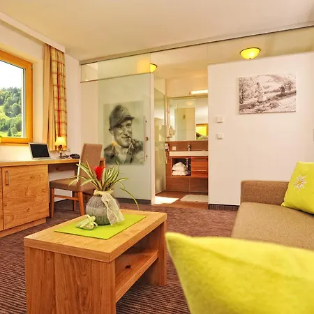 Hotel Hotel Barbarahof Saalbach